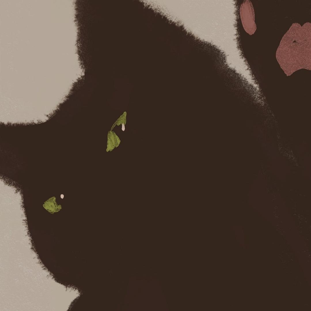 八百标兵奔北坡