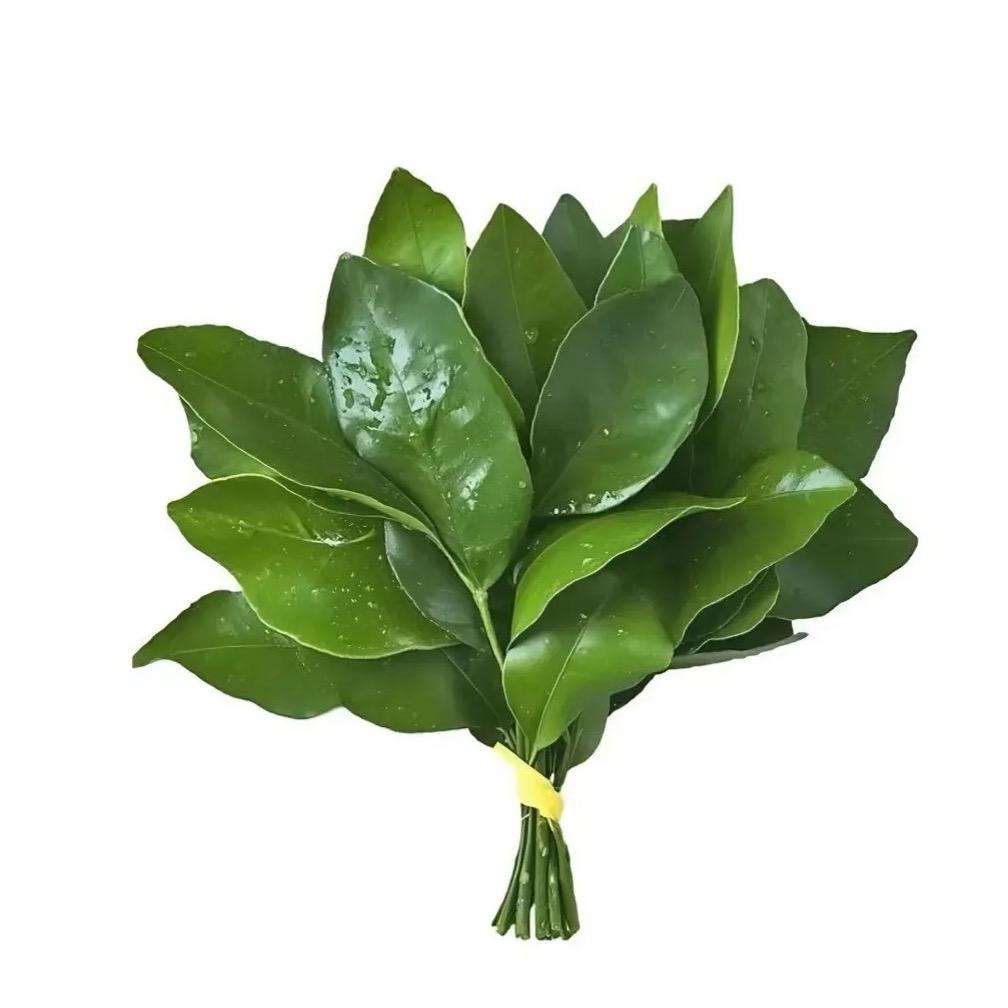 邱邱