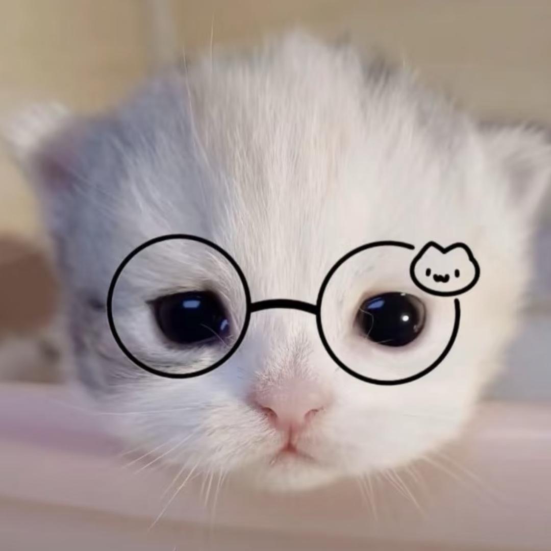 旮旯给木里明明不是这样的 ˃̣̣ᯅก