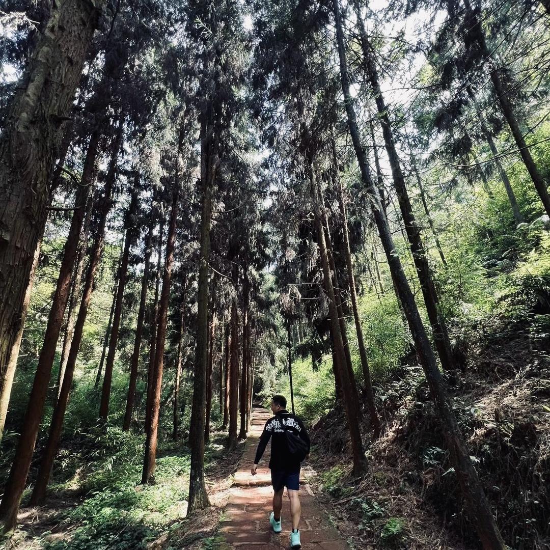 CF全国巅峰赛 至尊枪王🦁