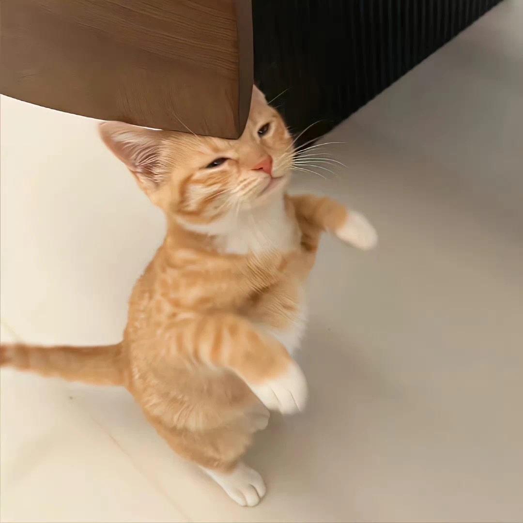aaaaaaaa