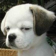 爱搞抽象的男孩子¥