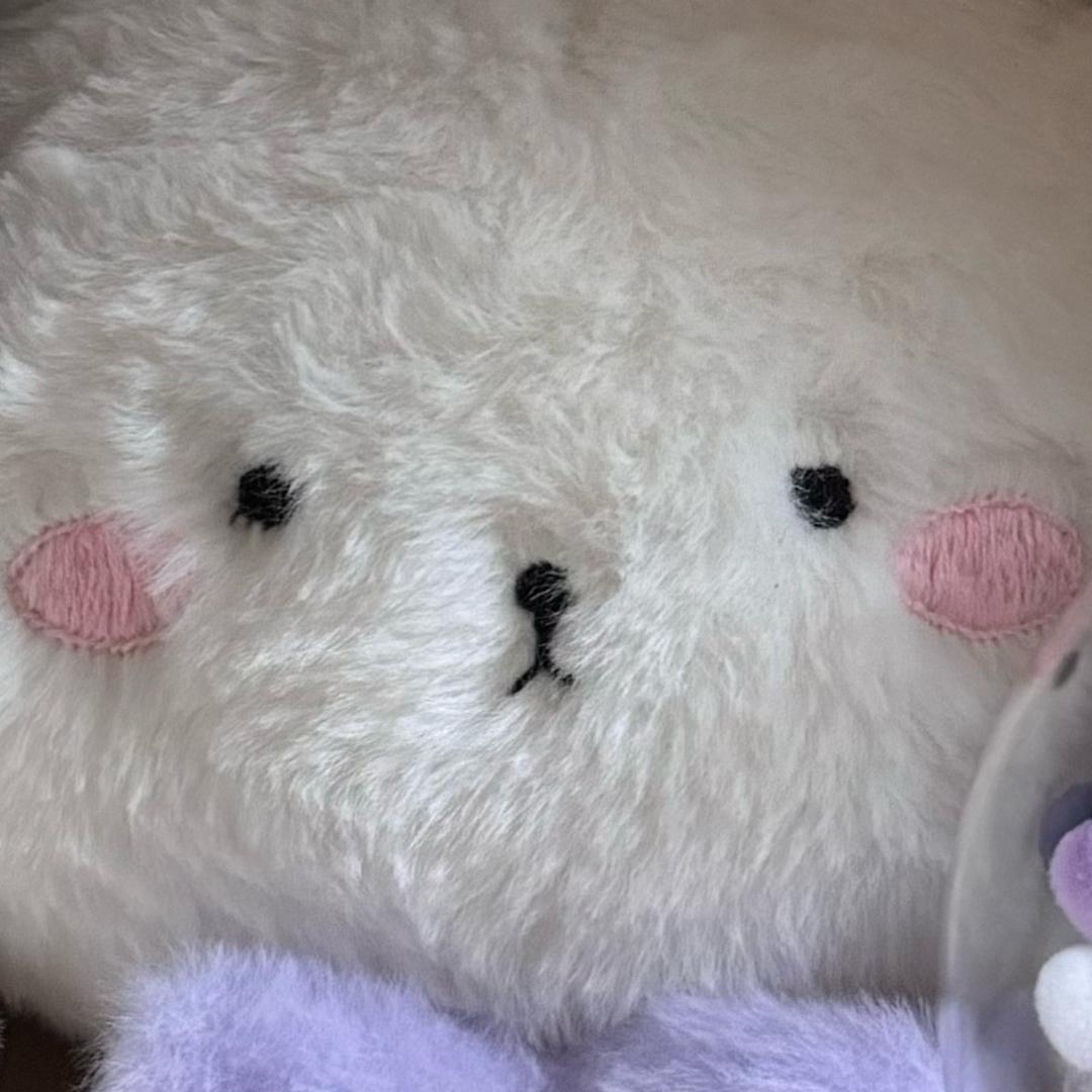 Sinyo头像