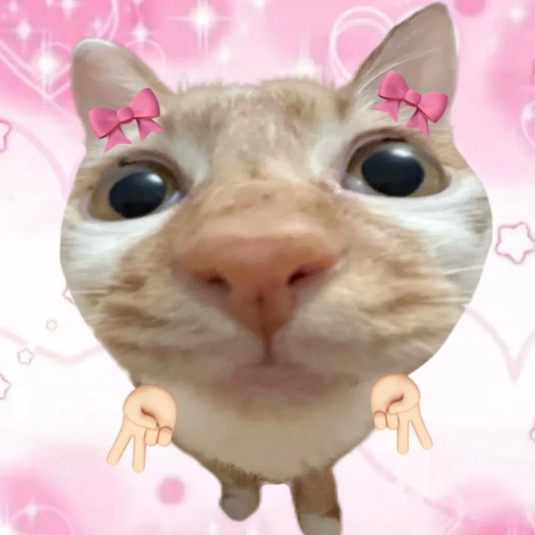 莫莫妈～