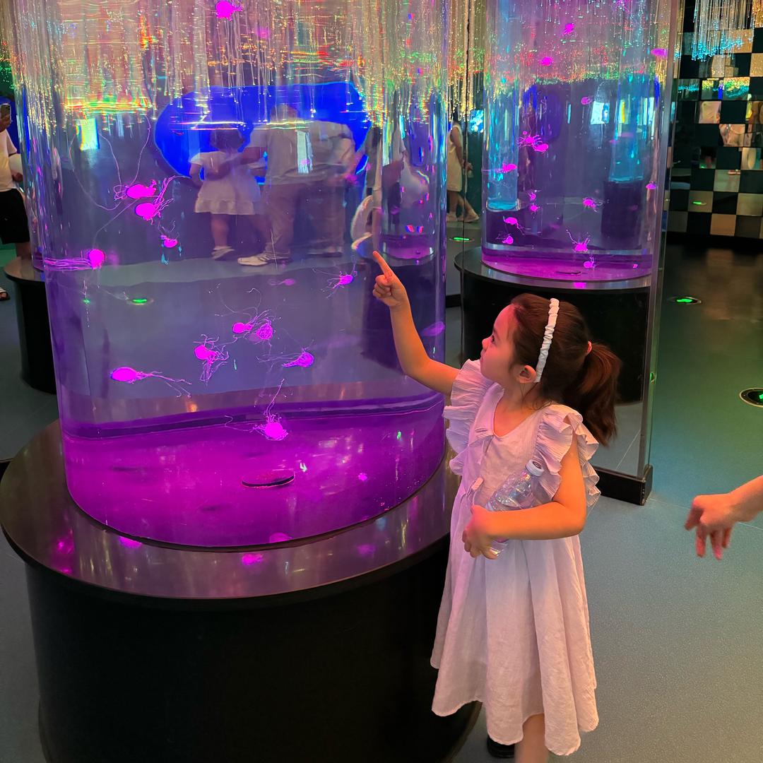 🏹梦的远方🏹