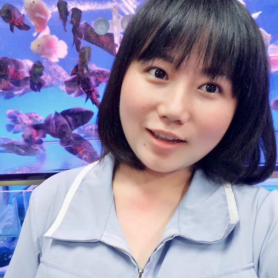 爱养鱼的艳子 鱼趣水族