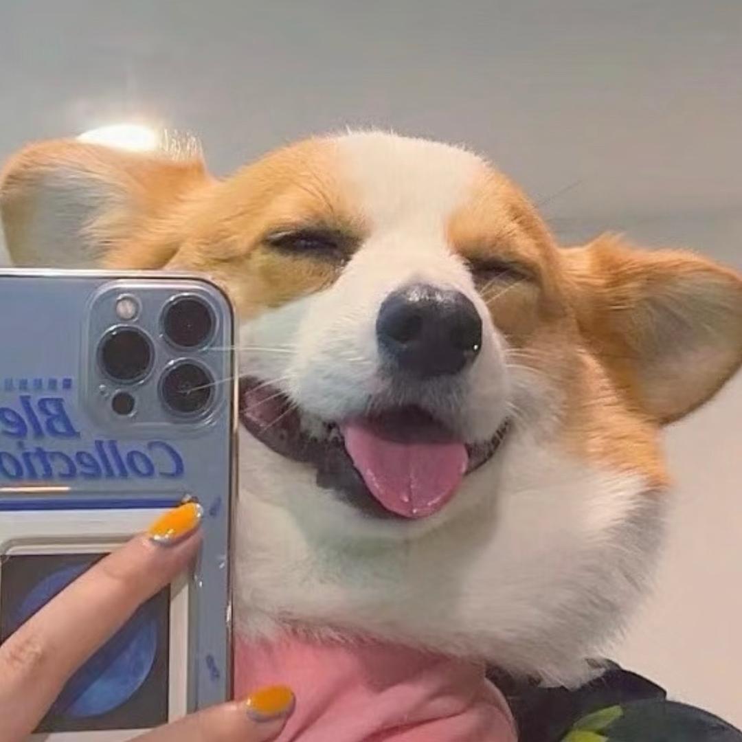 南方唐伯唬