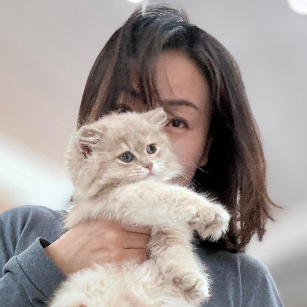 蜻蜓小二班