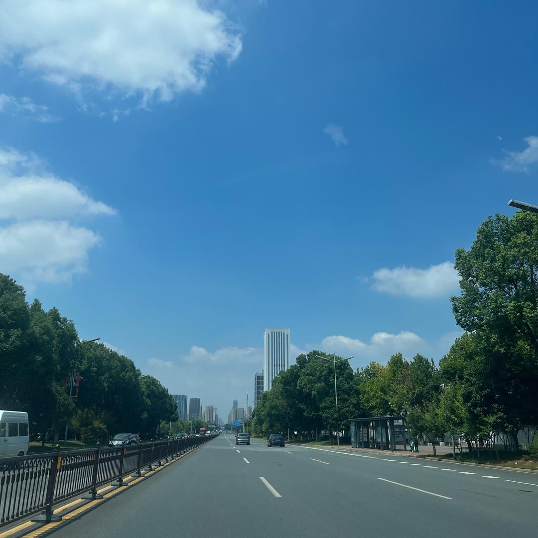 专业干老李