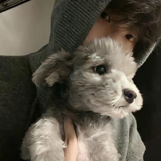 缘冰🧊