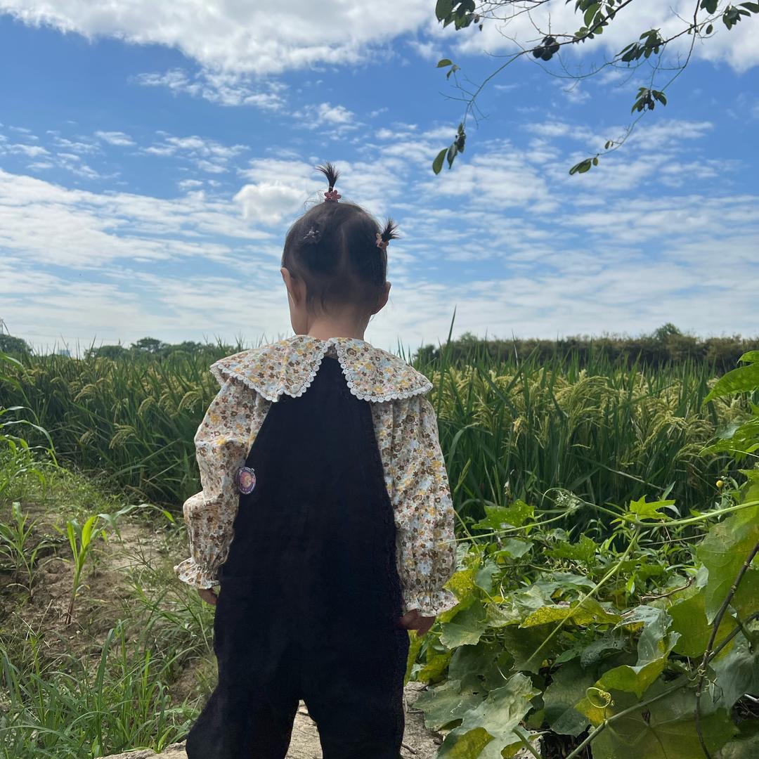 一只燕子吖