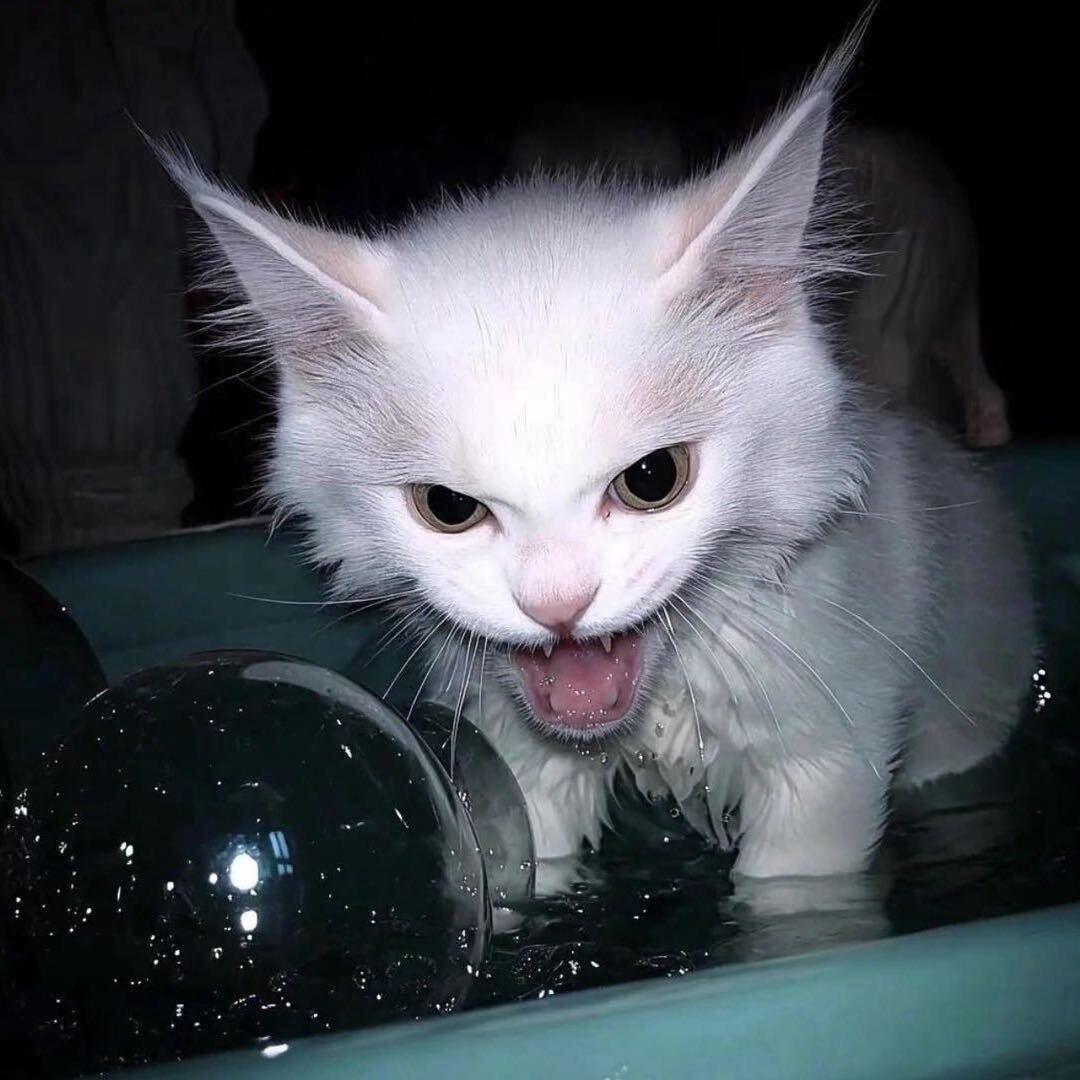 E1