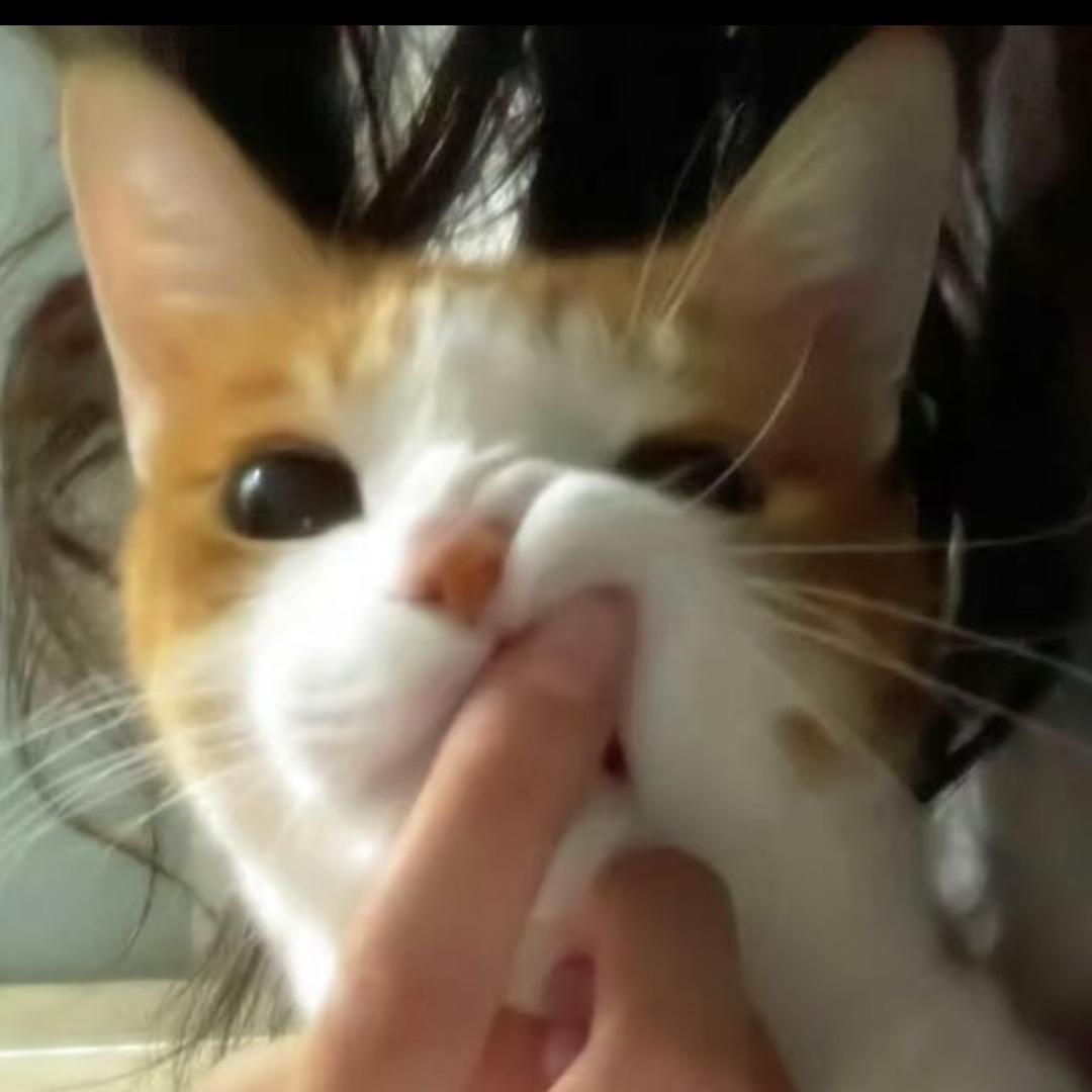 青果