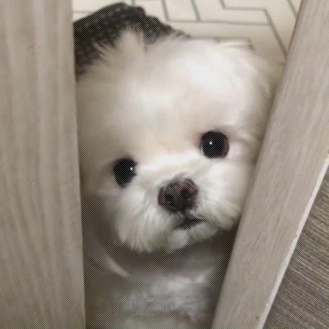 轨迹