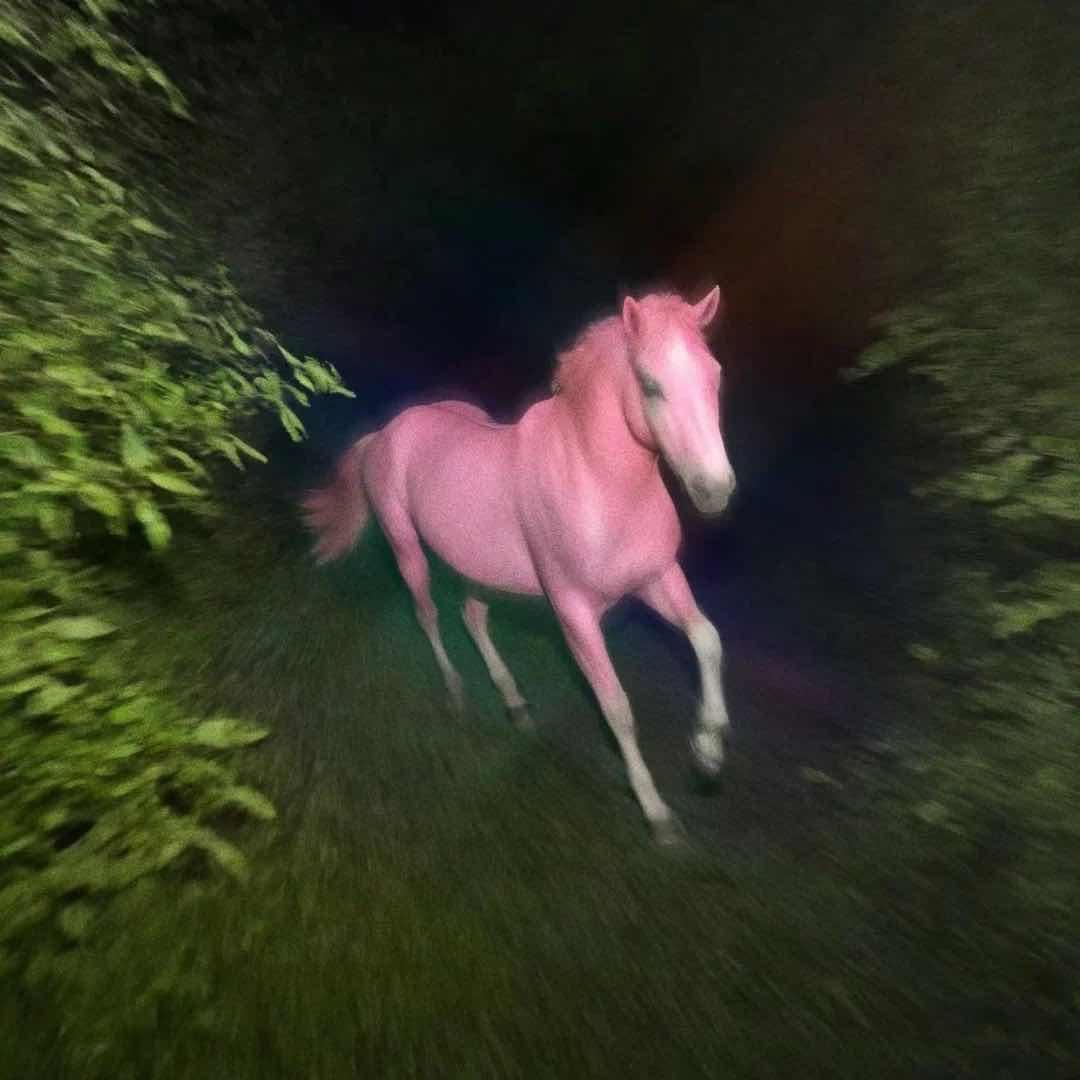 你有我帅吗