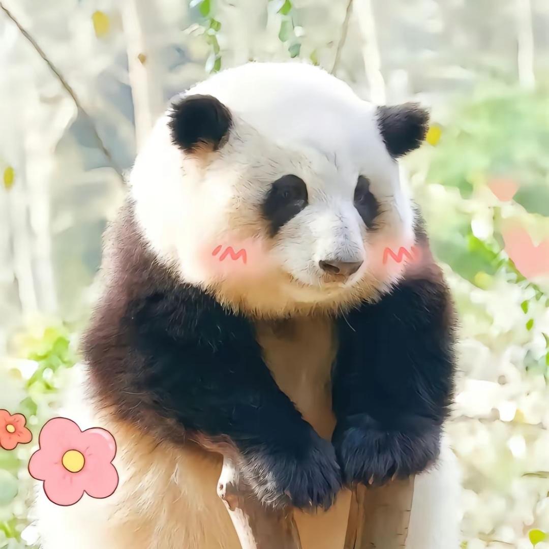 原味