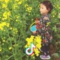 朵妈