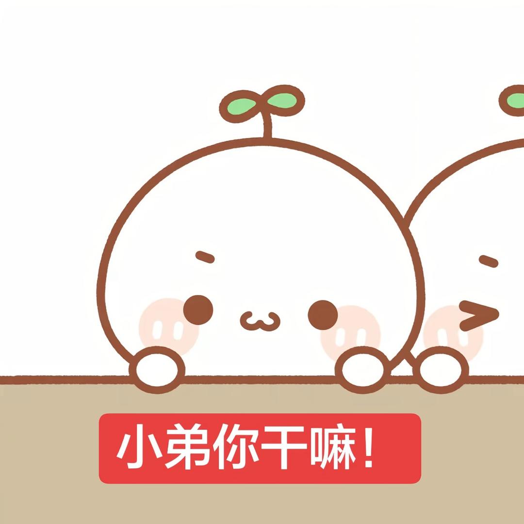 绵绵雨