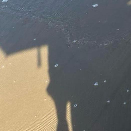 陈陈