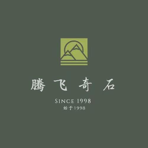 腾飞奇石