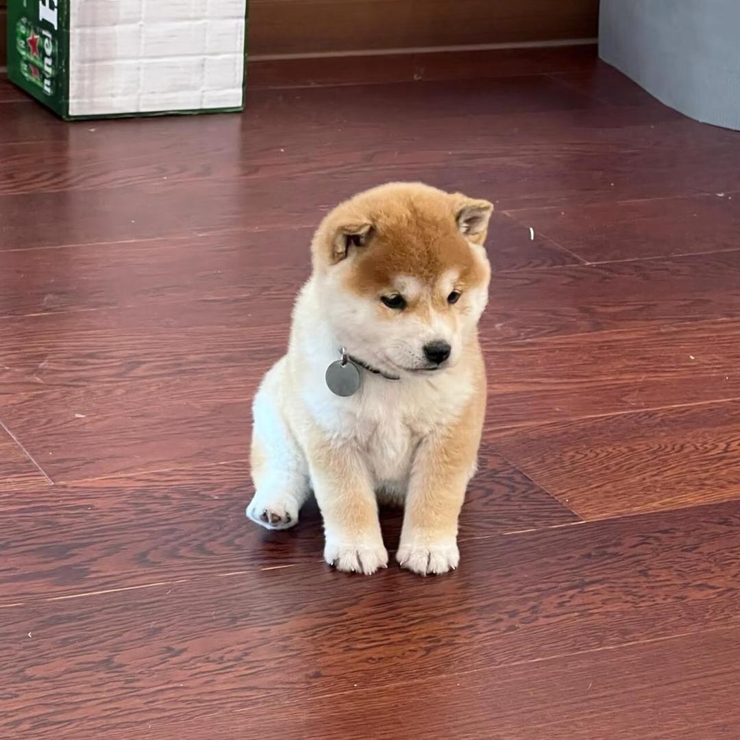 小睦