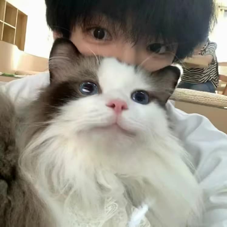 数理化生而已