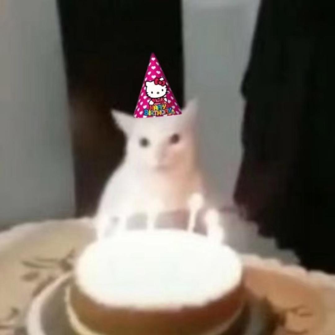 猫宁
