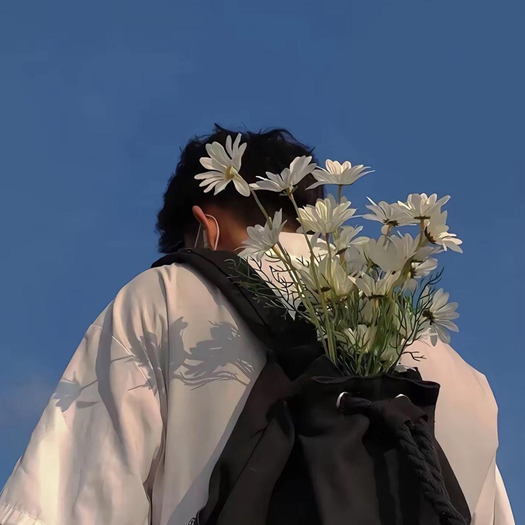 龙藏云