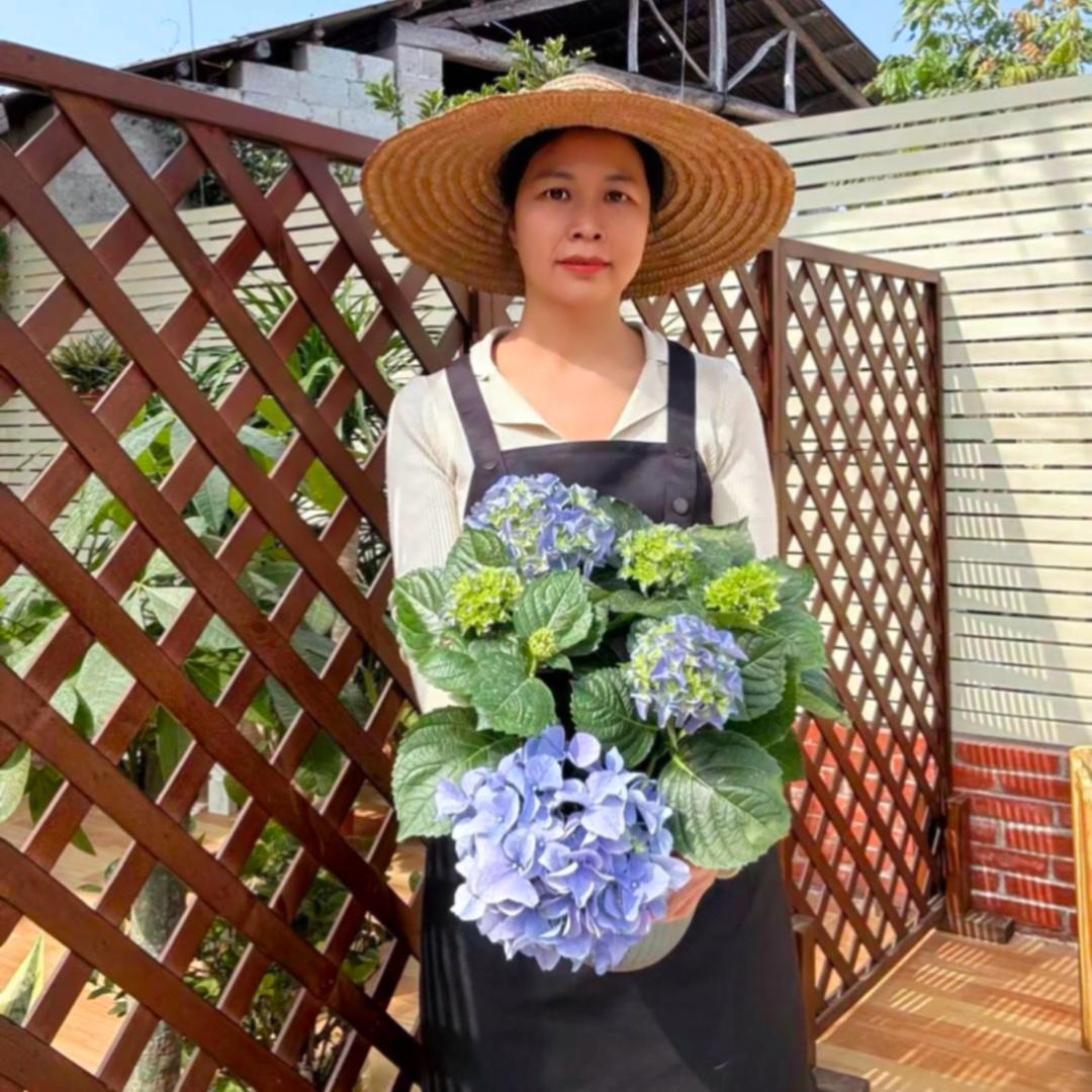 乔妹教养花