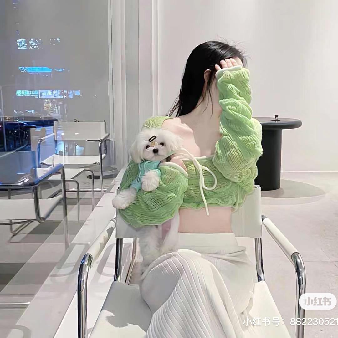 💃🏻傻🐷猪🐷猪💃🏻