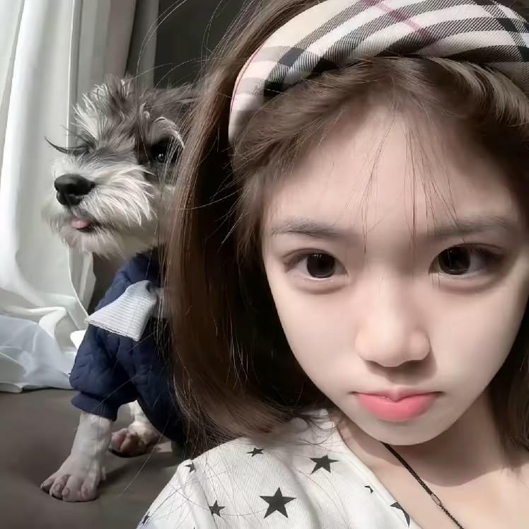 只关注可爱的