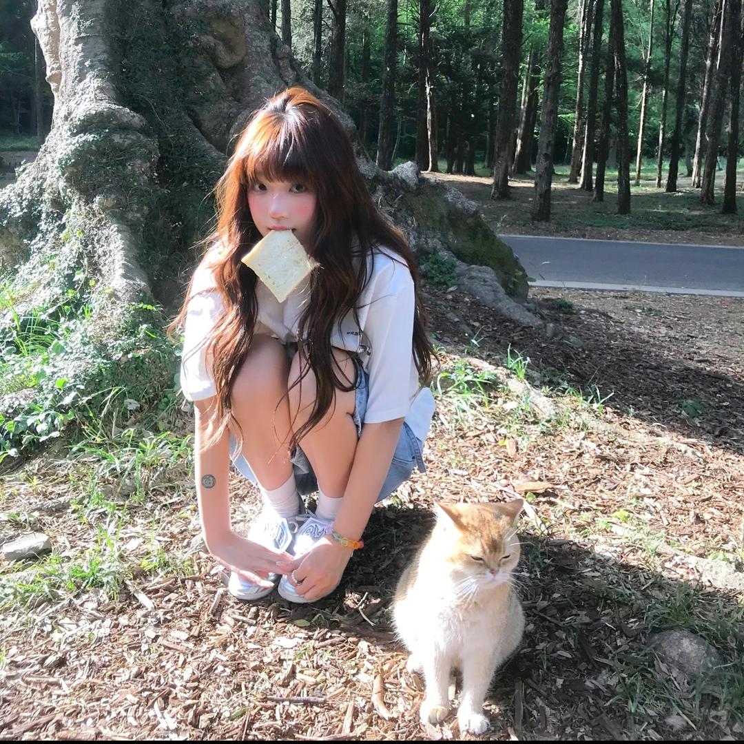 芷