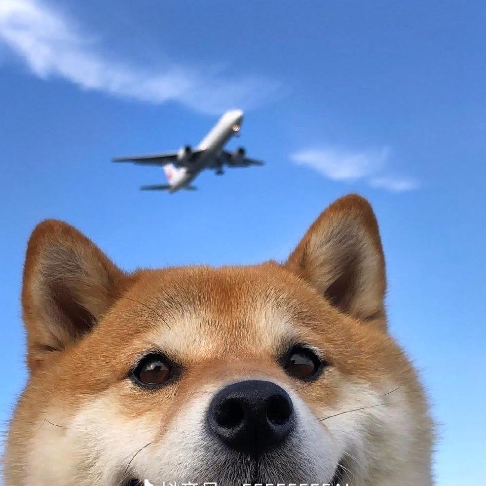 再来一碗猪脚面