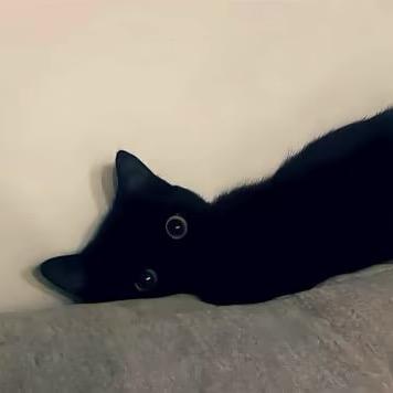 .0️⃣0️⃣7️⃣.