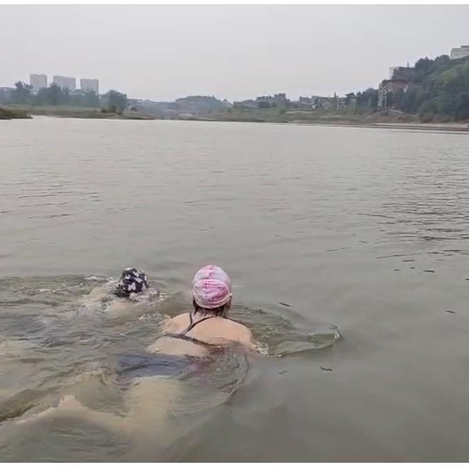 豆姐