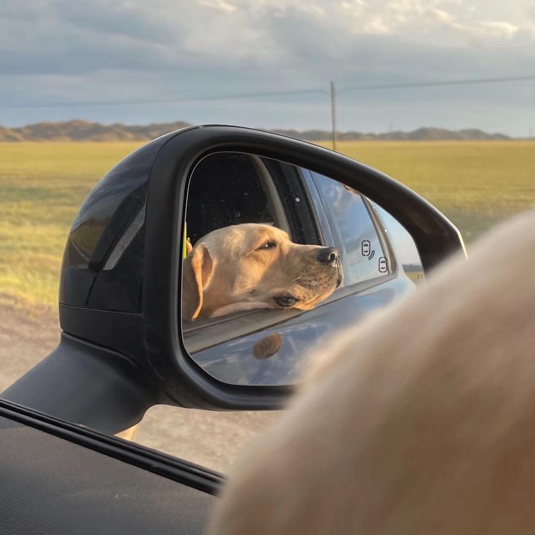 青州杰宇二手车