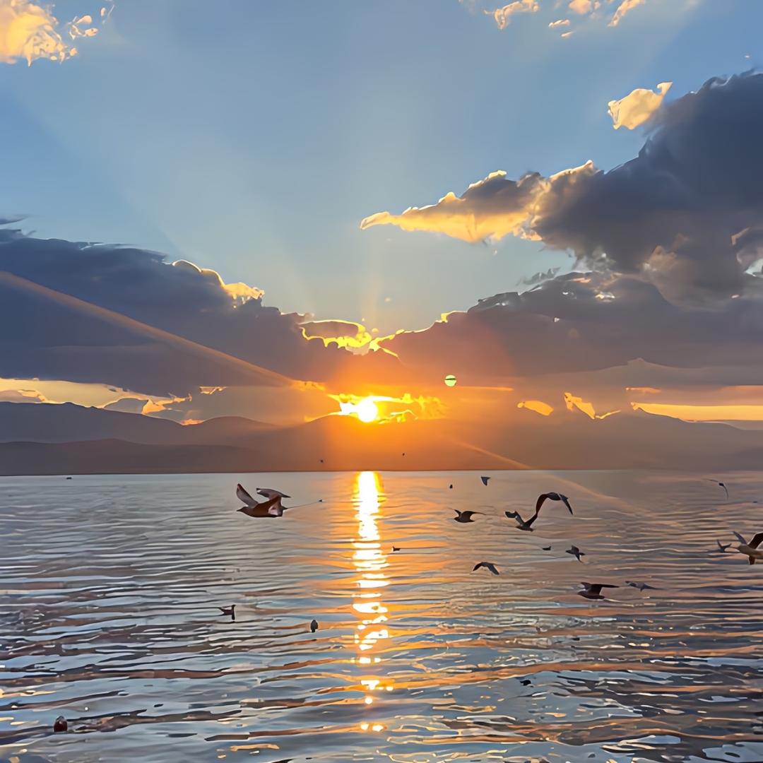展翅高飞🕊️