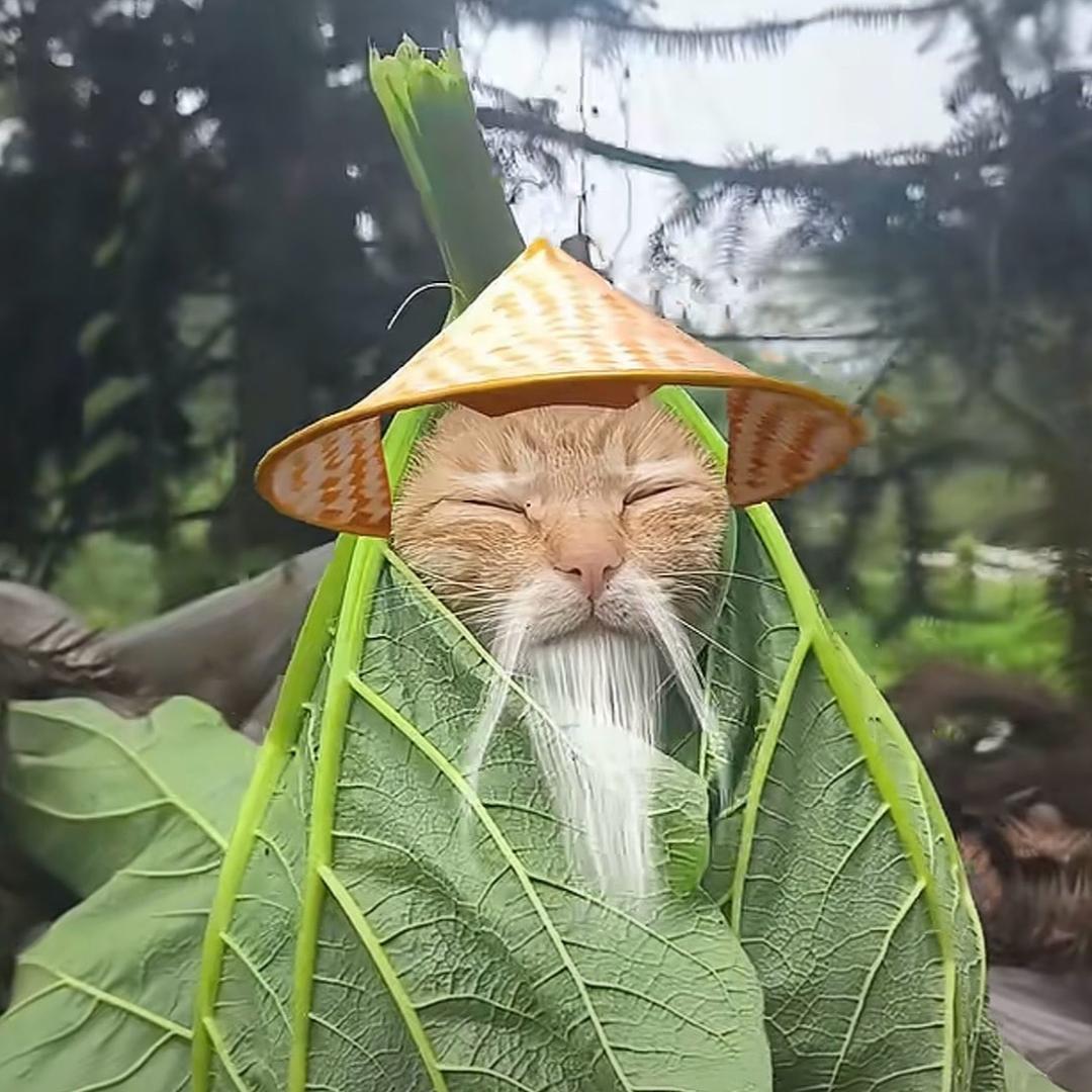 思懿