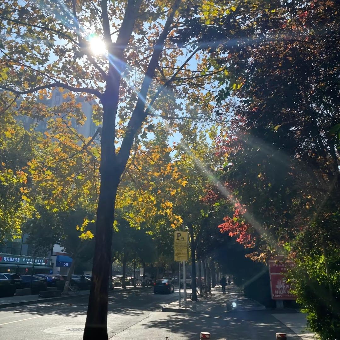 北京陪珍代挂