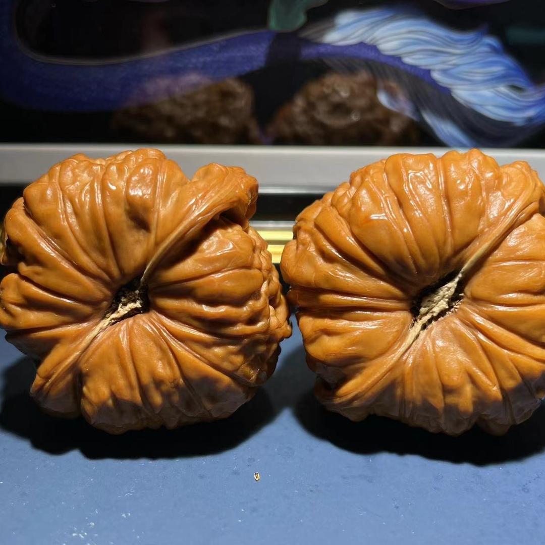 华子带你玩核桃