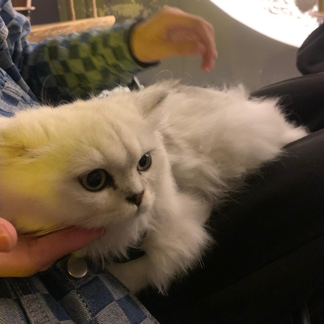 绝味鸭脖🇨🇳