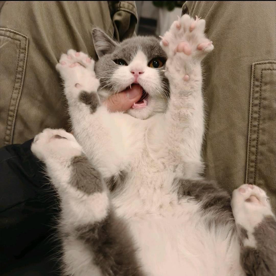 1216