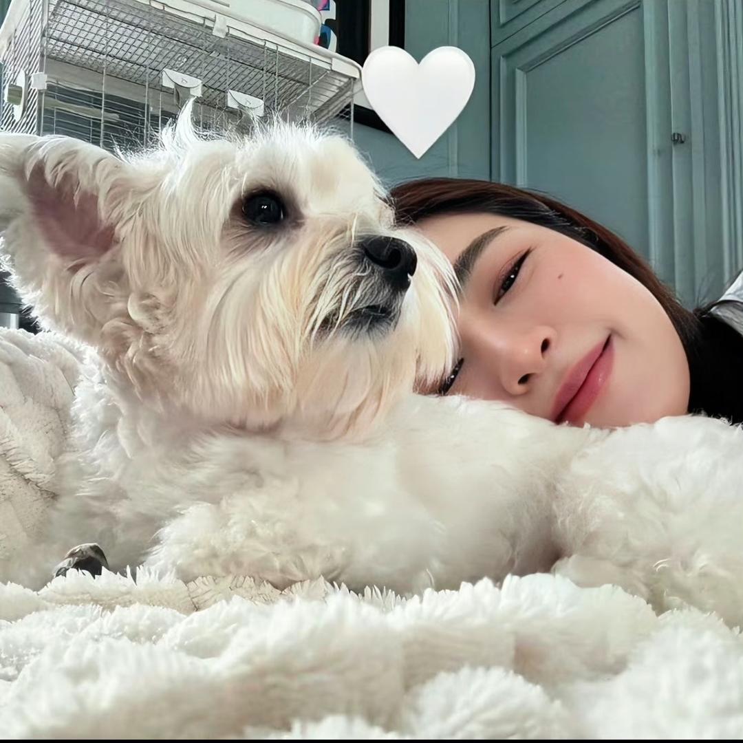 椰椰🧸