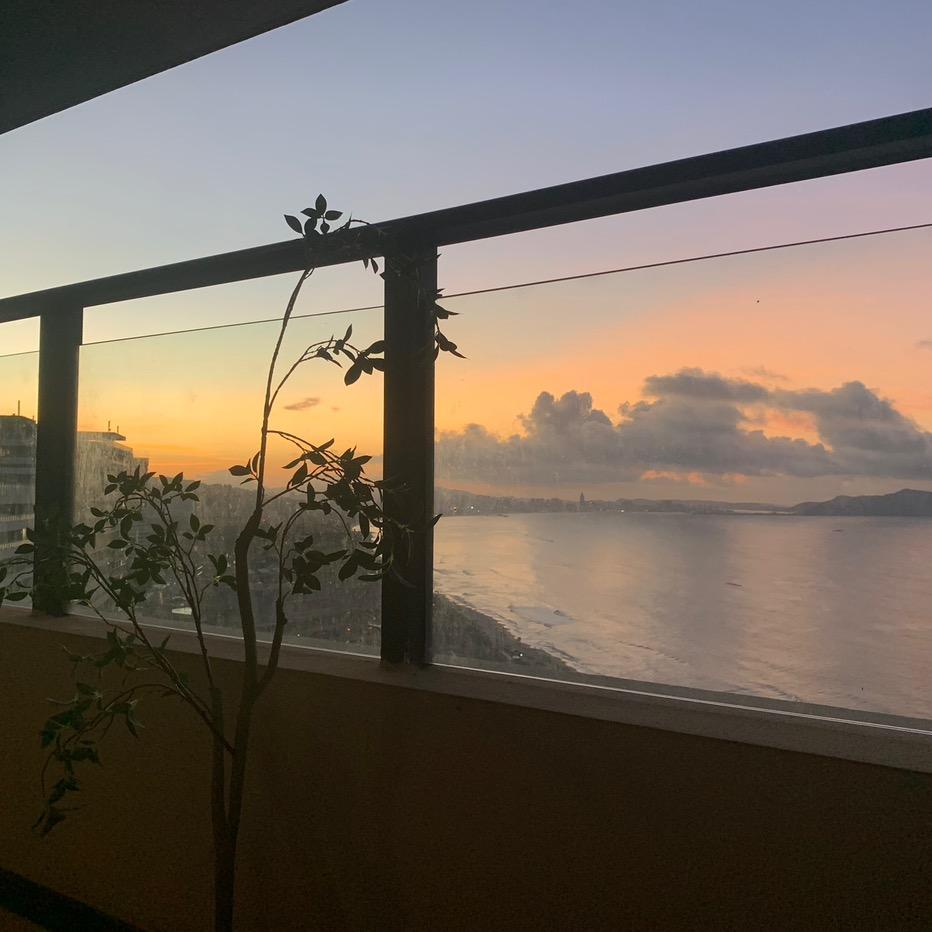 浪了哩个🌊