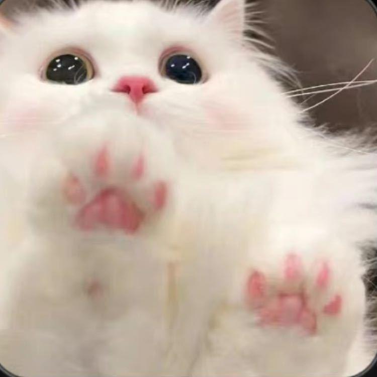 小蓝很蓝