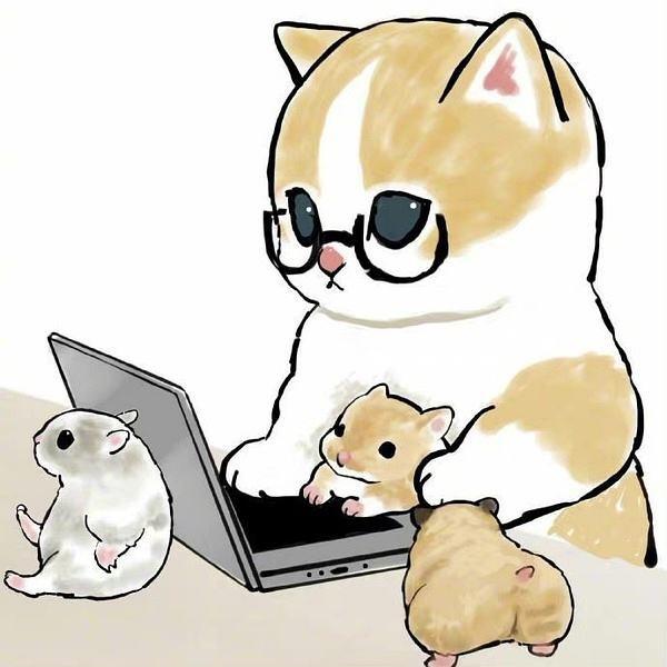 小雅