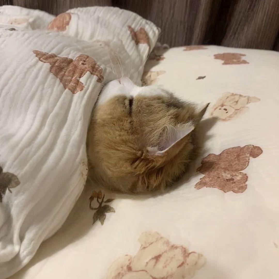 冷暖自知