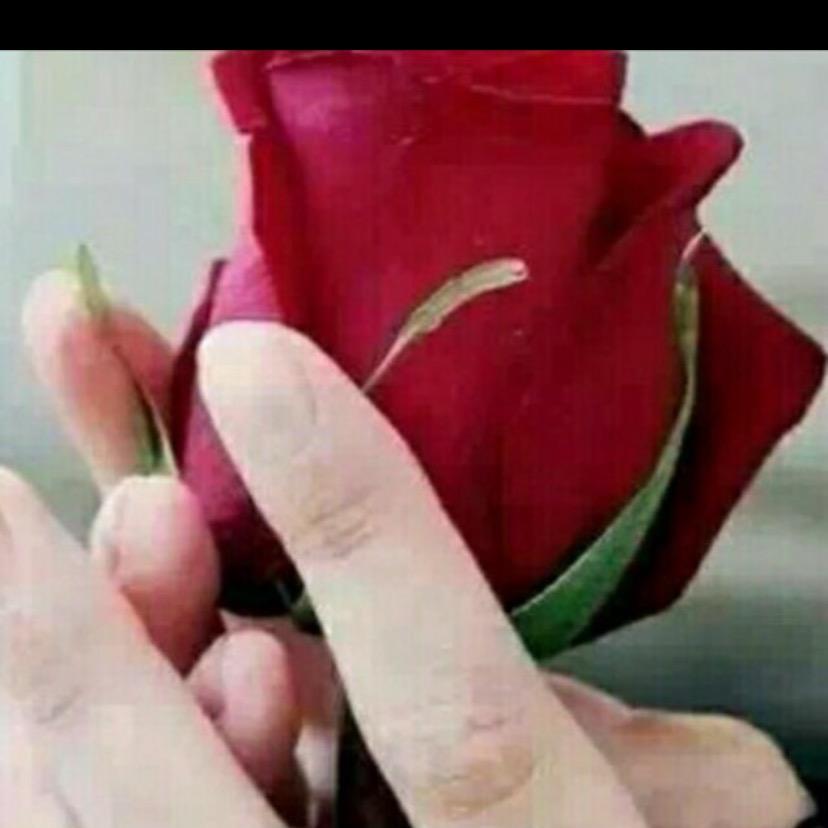 心浪漫，相依无奈