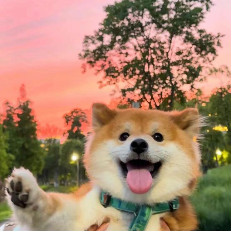 ！