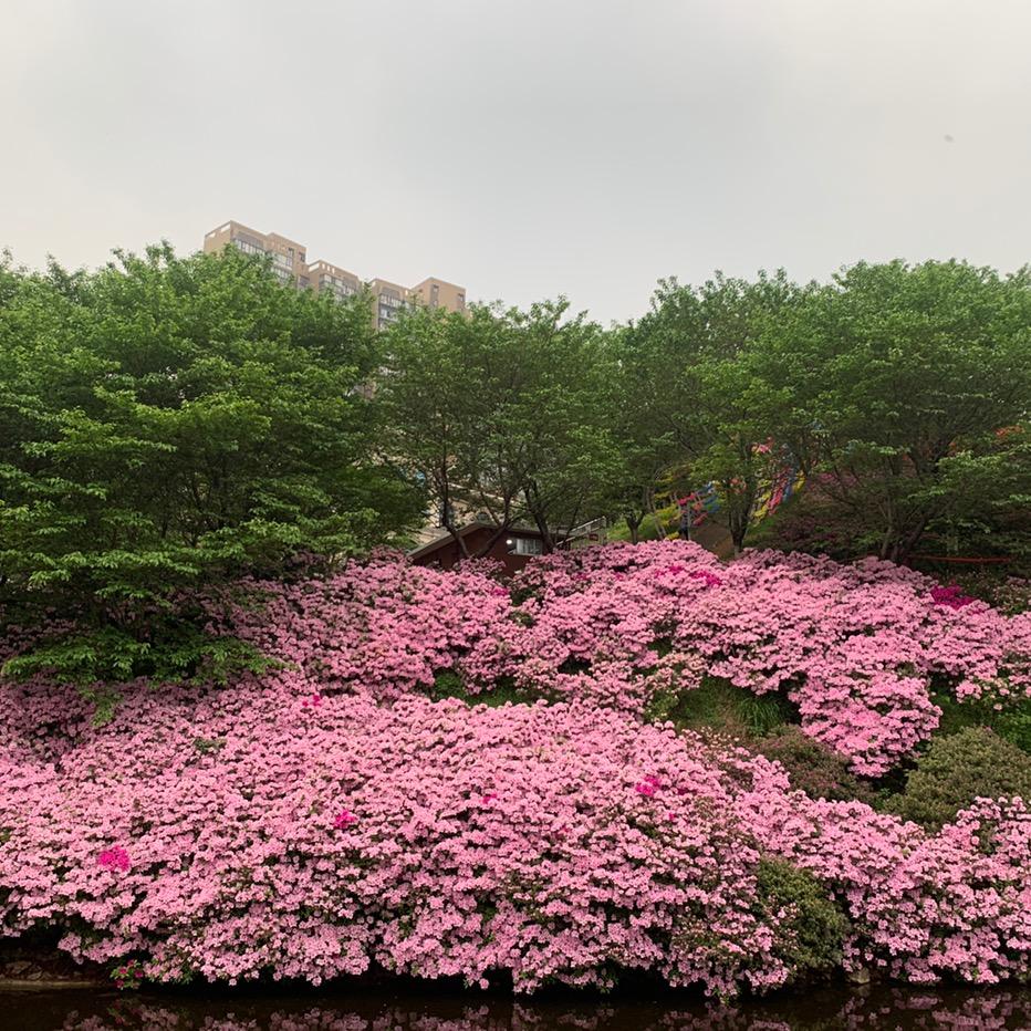 罗罗小